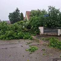 2c995cff-b69c-4a40-b00e-ee5a9849aa22-768x576.jpg