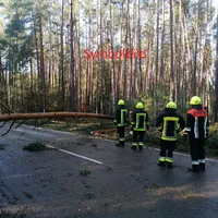 symbolbild_baumaufstrasse.jpg